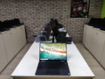 Dell XPS 13 7390