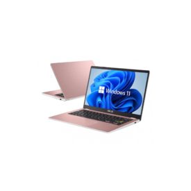 ASUS Vivobook Go