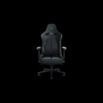 Крісло для геймерів RAZER Enki X, green (RZ38-03880100-R3G1)