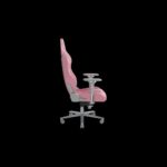 Крісло для геймерів RAZER Enki, Quartz (RZ38-03720200-R3G1)