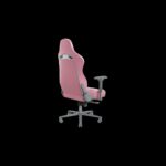 Крісло для геймерів RAZER Enki, Quartz (RZ38-03720200-R3G1)